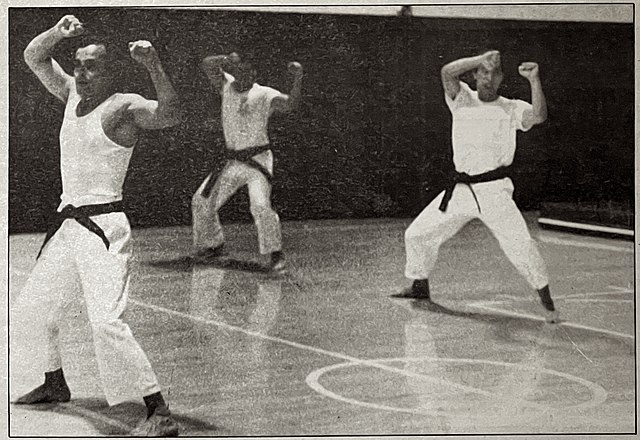 History of Taekwondo