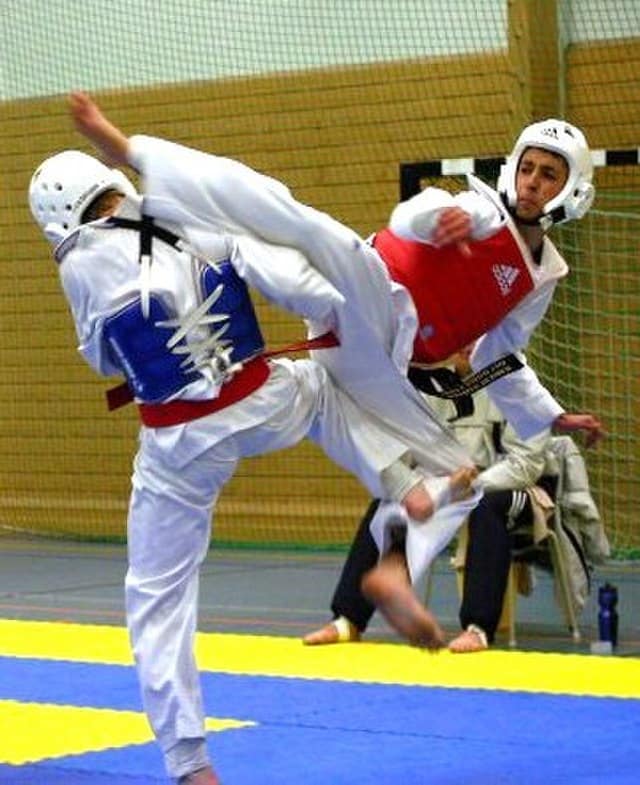 Taekwondo kick