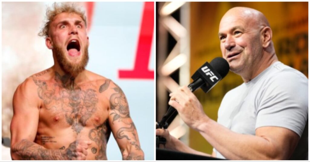 Jake Paul, Dana White